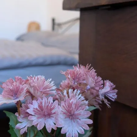 Castel'lo -aktiv & Relax Residenz Bed & Breakfast Baiardo